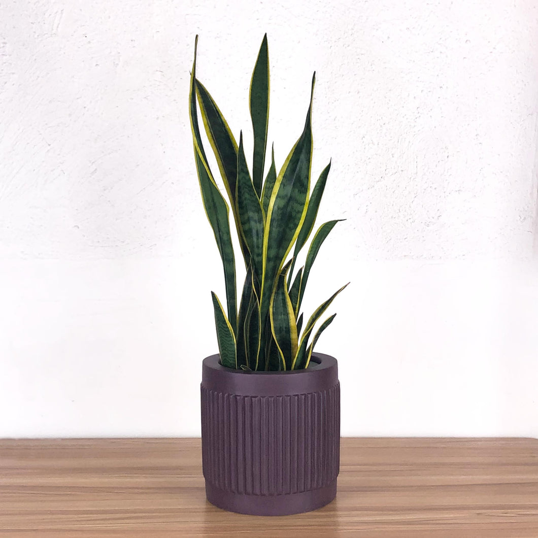 FLUTED CYLINDER POT EGGPLANT | PLANTER