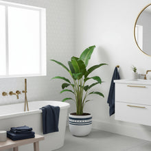 Modern bathroom with a plant, bathtub, and vanity.