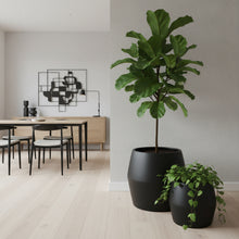 Potted plants in a modern interior setting with a dining table and abstract art on the wall.
