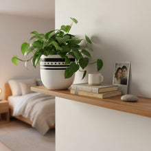 Pixy Pot Black | Planter