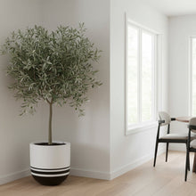 Modern interior with a potted plant and dining area.