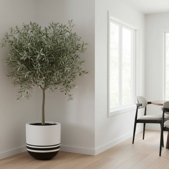 Modern interior with a potted plant and dining area.