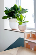 GALA POT | PLANTER