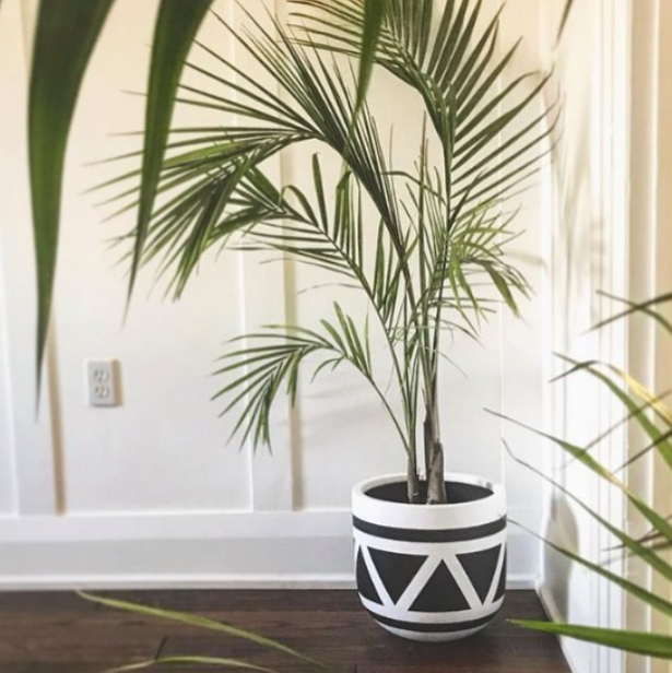 Common House Studio planter