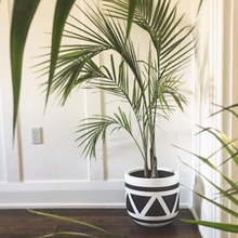 A white Aztec pot with geometric patterns, filled with a green potted plant, placed on a floor against a wall.