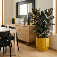 Dining room with a wooden sideboard, black chairs, and a yellow potted plant.