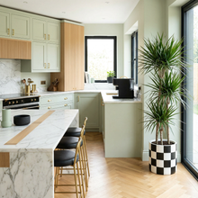 Modern kitchen with marble island, wooden cabinets, and large, decorative floor plant.