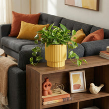 Living room with a gray sofa, wooden coffee table, and decorative items.