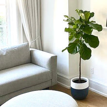 Simple modern navy blue planter with contrast rim, decorative indoor plant pot