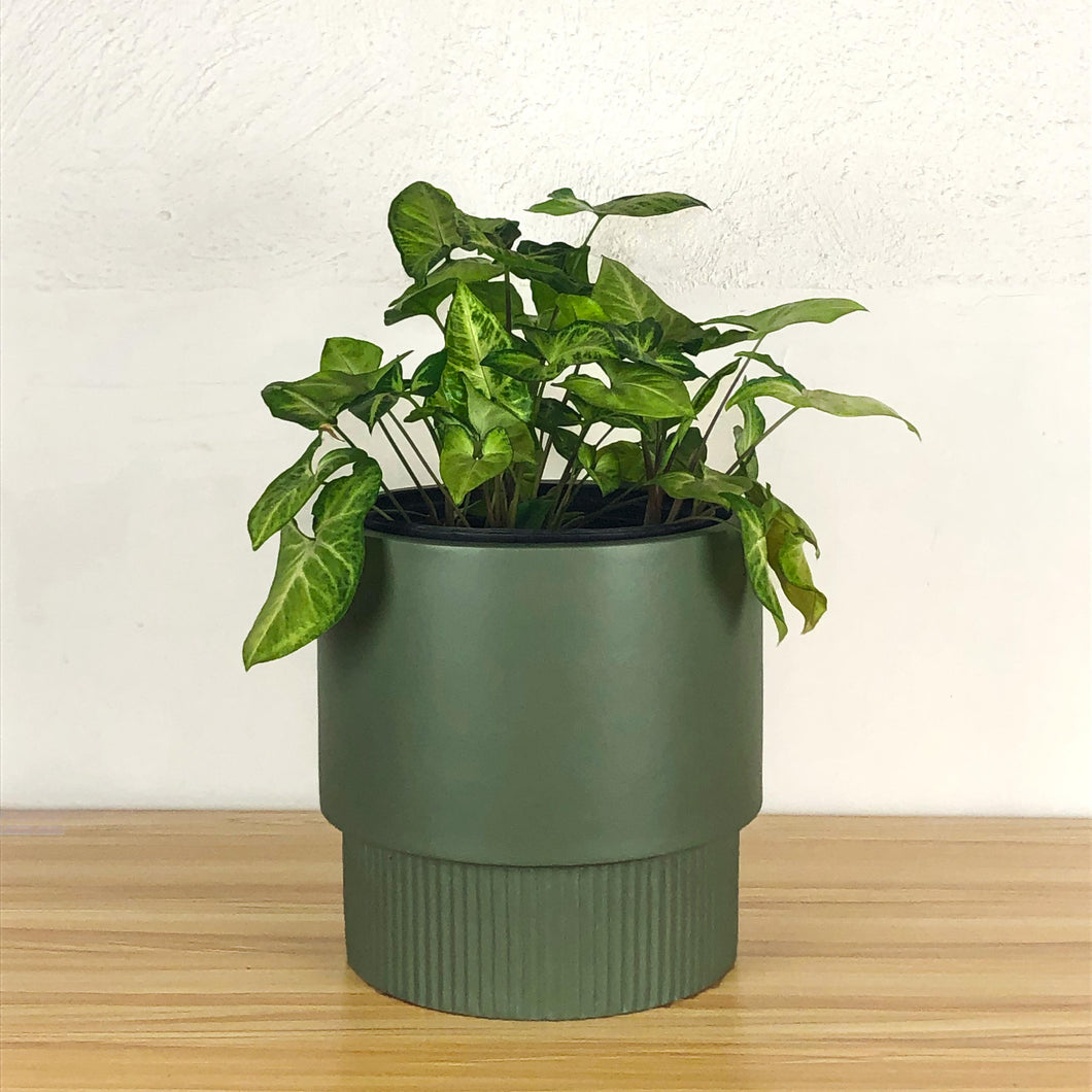 FLUTED BASE PEDESTAL POT OLIVE | PLANTER