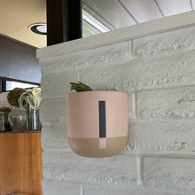 pink and beige wall mounted planter pot on white brick wall