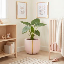 Children's nursery with a pink strand plant pot, with elephant ear plant.