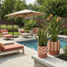 Outdoor patio with lounge chairs, umbrella, and potted plants by a pool.