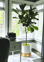 DIVIDED CYLINDER POT | PLANTER