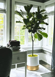 DIVIDED CYLINDER POT | PLANTER