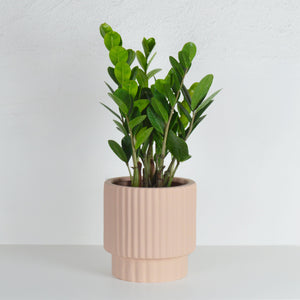 RIDGED CYLINDER POT | PLANTER