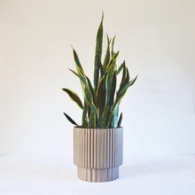 RIDGED CYLINDER POT | PLANTER