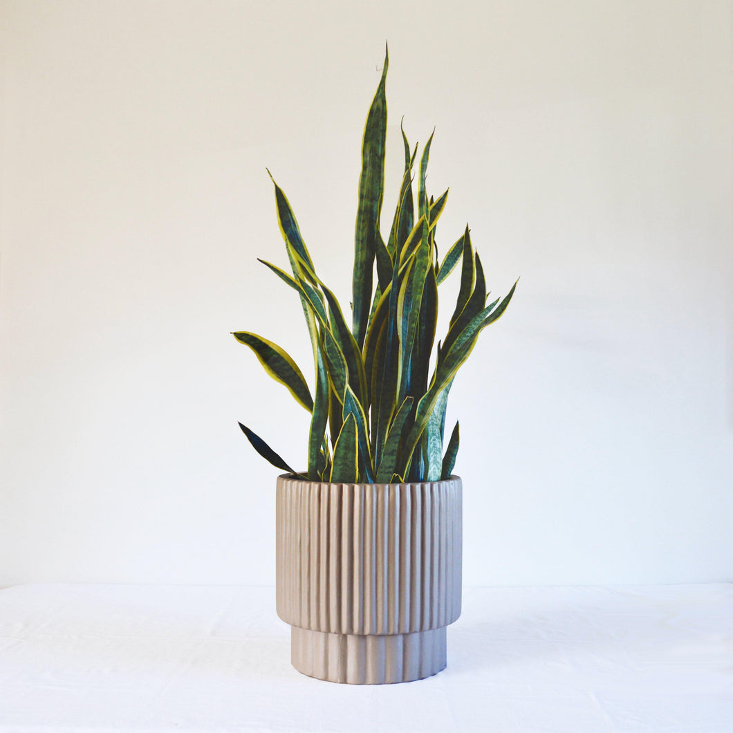 RIDGED CYLINDER POT BEIGE | PLANTER
