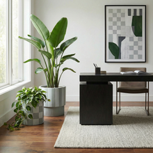 Modern office space colourful sage green potted plants.