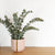 SMALL / BAKED CLAY / Yes