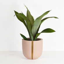 STRAND POT | PLANTER