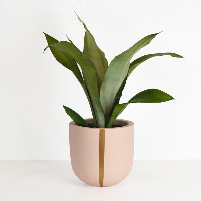 STRAND POT BAKED CLAY | PLANTER