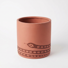 Terra cotta plant pot with decorative snake pattern on a white background