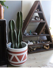 white planter with terracotta pattern on floor with cactus