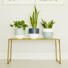 Matte two tone planter pots in decorative colours, minimalist indoor house plant styling