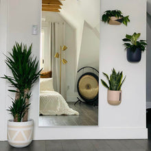 Room interior with a large mirror, plants, and decorative items.