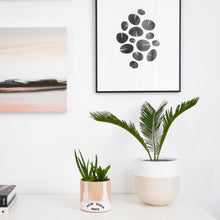 A two-toned beige and white planter pot placed on a surface with a plant inside, situated against a wall with framed artwork.