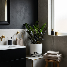 Modern bathroom with black vanity, white sink, and decorative plant.