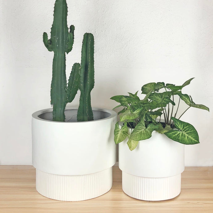 FLUTED BASE PEDESTAL POT | PLANTER
