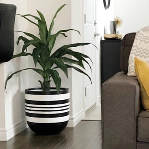 black planter with white stripes in corner of living room