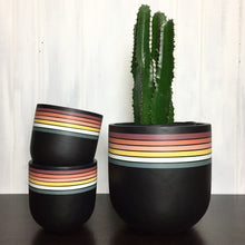 cowboy cactus in retro colour stripe flower pot