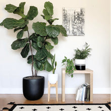 REFLECTION CYLINDER POT | PLANTER