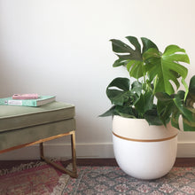 Hand painted modern plant pot with gold trim. Neutral color palette and blends well with all interior and exterior designs and styles. Great for lush plants, trees and florals.