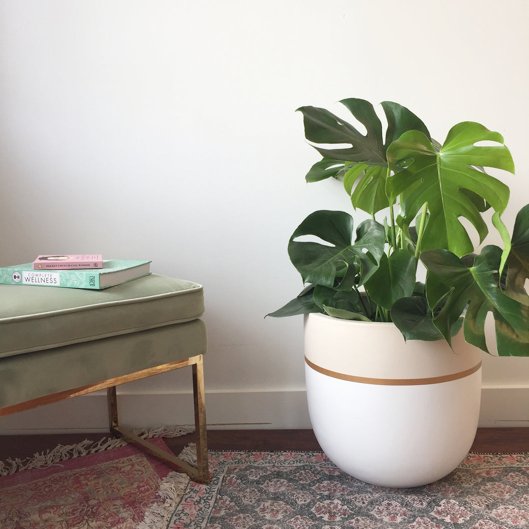 Hand painted modern plant pot with gold trim. Neutral color palette and blends well with all interior and exterior designs and styles. Great for lush plants, trees and florals.