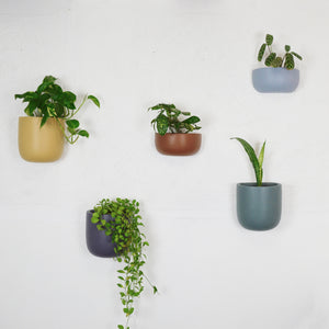 SOLID SHORT WALL PLANTER | POT