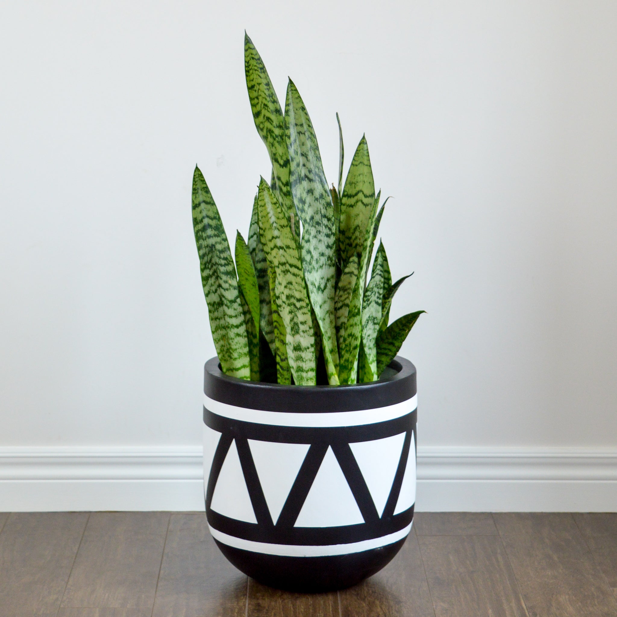 AZTEC PLANTER | Modern Lightweight Hand Painted Pots – Common House Studio