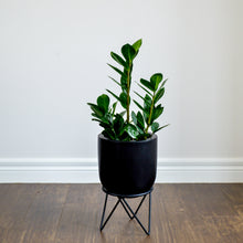 ESSENTIAL POT | PLANTER