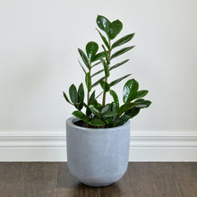 MODERN FIBERSTONE ROUND POT GREY | PLANTER