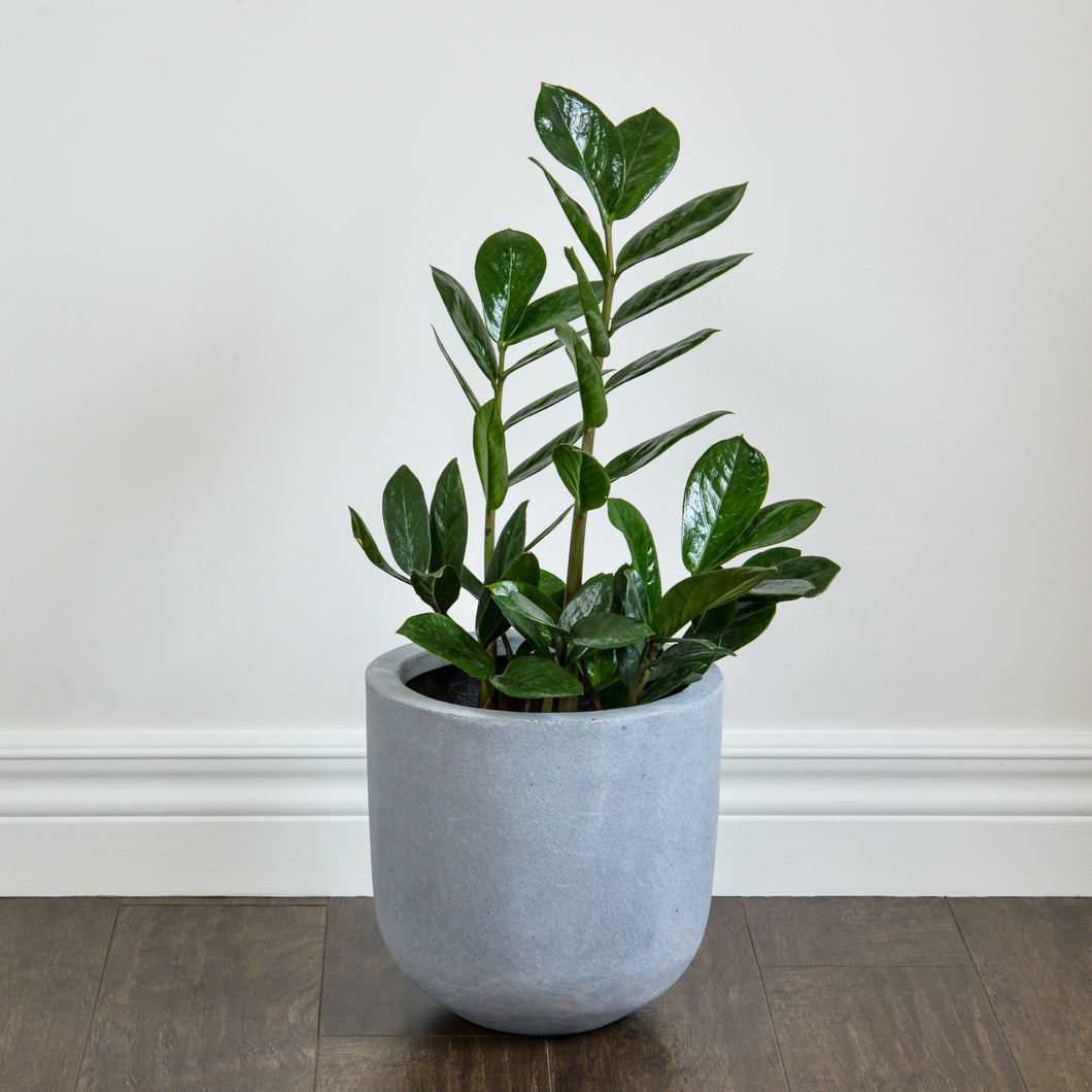MODERN FIBERSTONE ROUND POT GREY | PLANTER