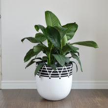 NETTE POT WHITE | PLANTER
