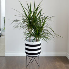 Minimalist plant pot hand painted in black and white stripes. A modern and sophisticated look that is perfect for home, office and studio.