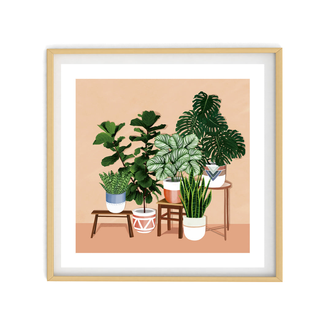 POTTED PLANTS Illustration | Art Print Poster