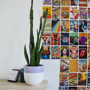 DIVIDED POT | PLANTER