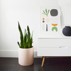 Mid Century Modern planter in baked clay colour way