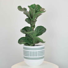 NOMAD POT | PLANTER