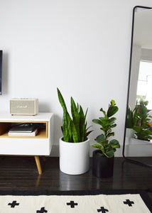 White and black cylinder planters on floor in bedroom